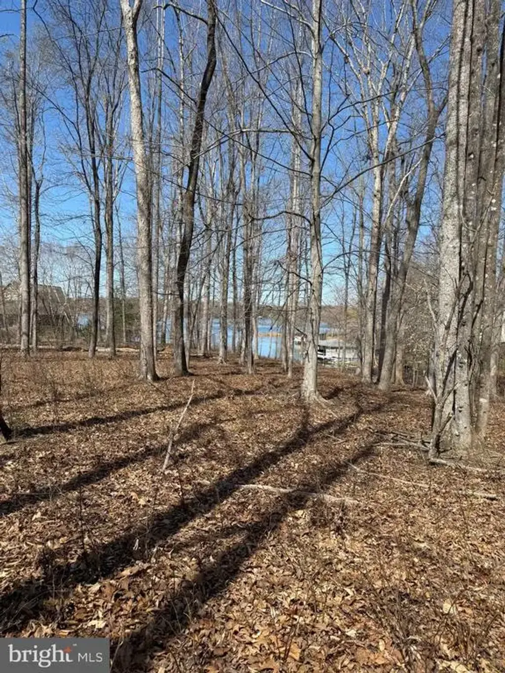 Lot 161 New Dawn Ct, BUMPASS