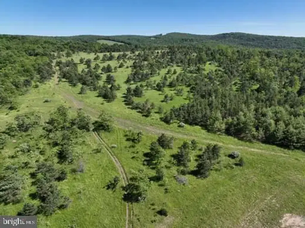 Pine Hill Rd, LONACONING