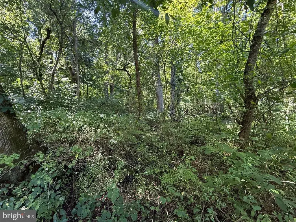 Lot A6 Harris Dr, FRONT ROYAL