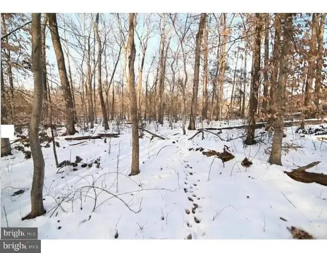 0 Cherryfield Rd, Fort Washington