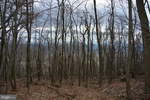 Rockwood Trl #49.61 Acres, Winchester