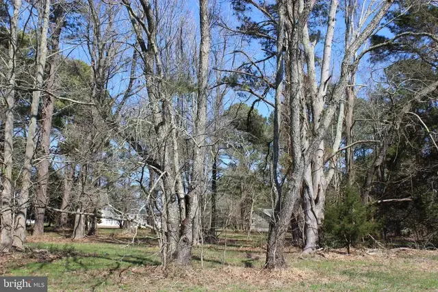 134 Neptune Dr, Greenbackville
