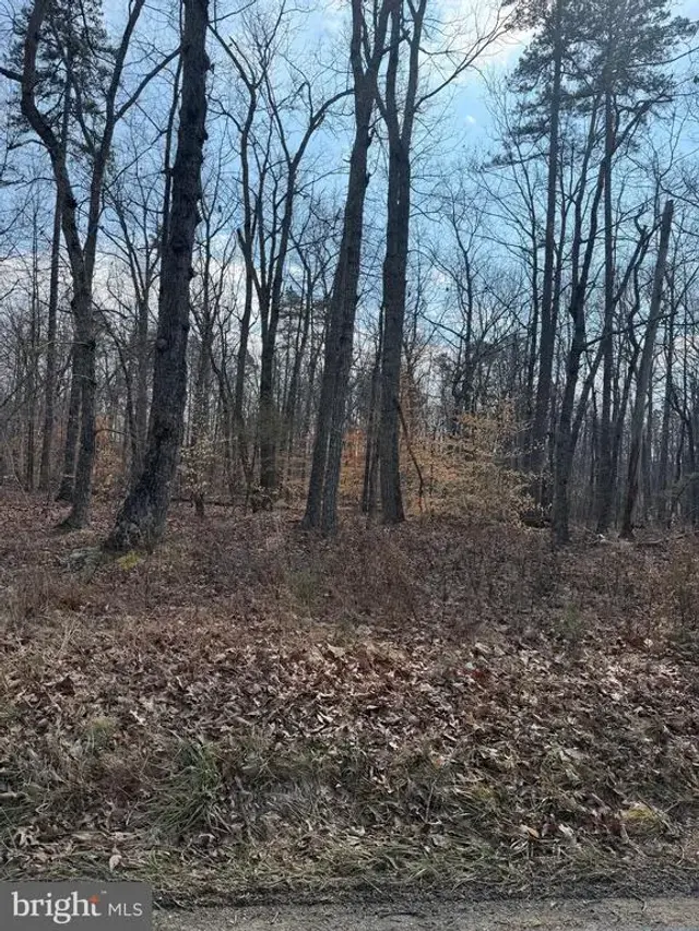 Edwards Shop Rd, Elkwood