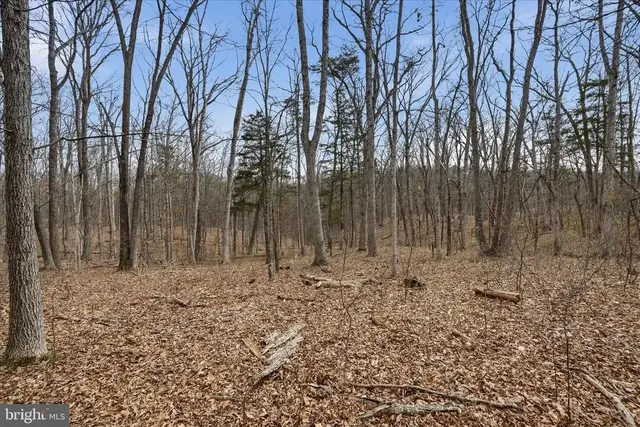 Lot 3 Arapaho Ln, Stephens City