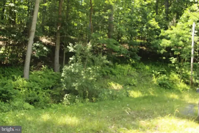 0 Nethers, Sperryville