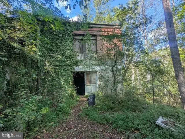 12967 Spicers Mill Rd, Orange