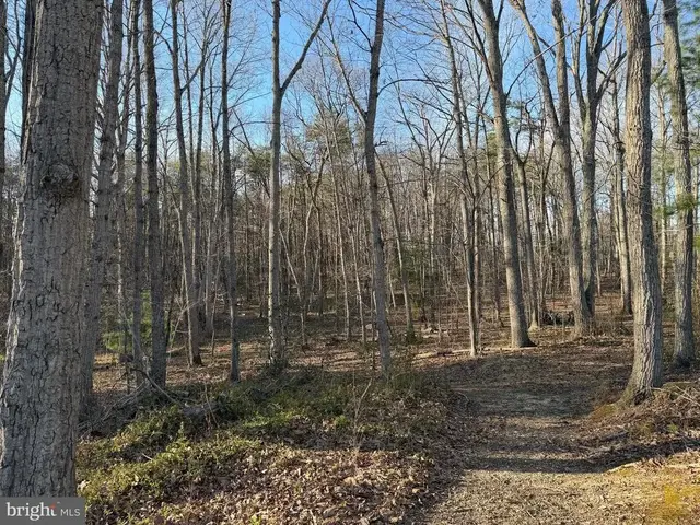 Woodland Church Rd, Culpeper