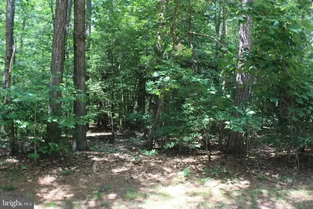 104 Custom Dr, Greenbackville
