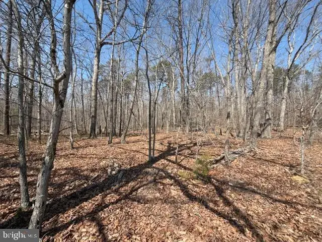 Countryside Lane - Lot 1, Lignum