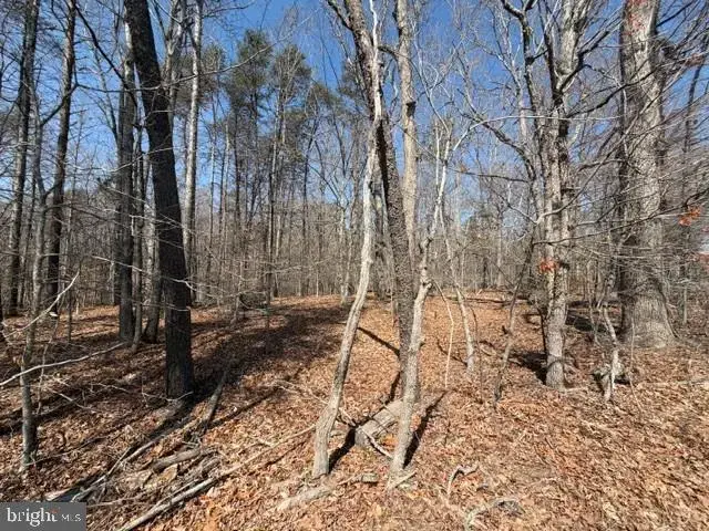 Countryside Lane - Lot 2, Lignum
