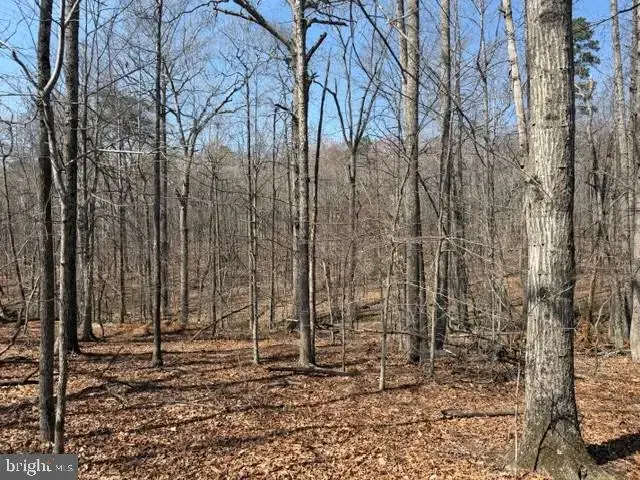 Countryside Lane - Lot 3, Lignum
