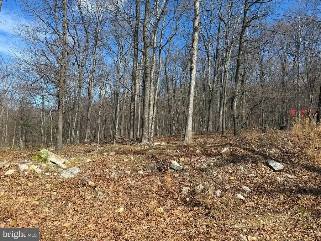 Lot 65 High Mountain View Rd, ROMNEY