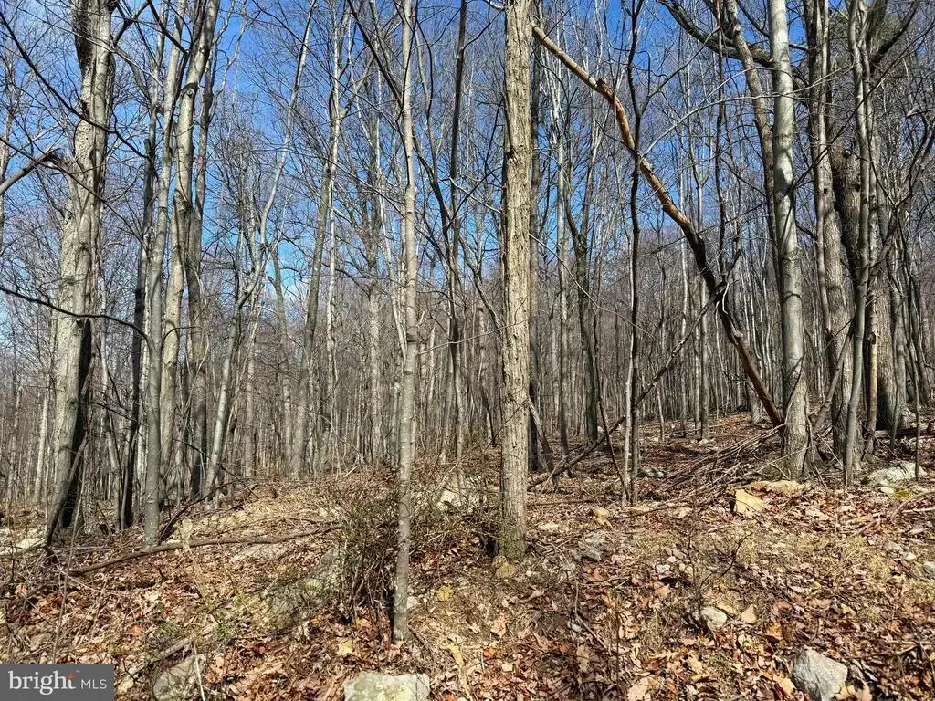 Lot 63 High Mountain View Rd, ROMNEY