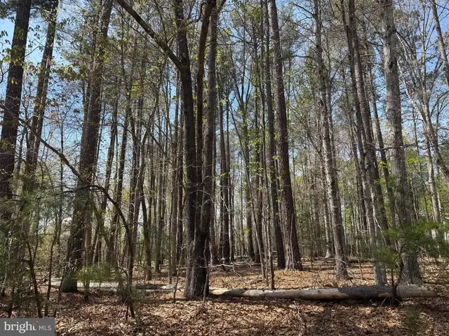 Windwood Coves Blvd, Mineral