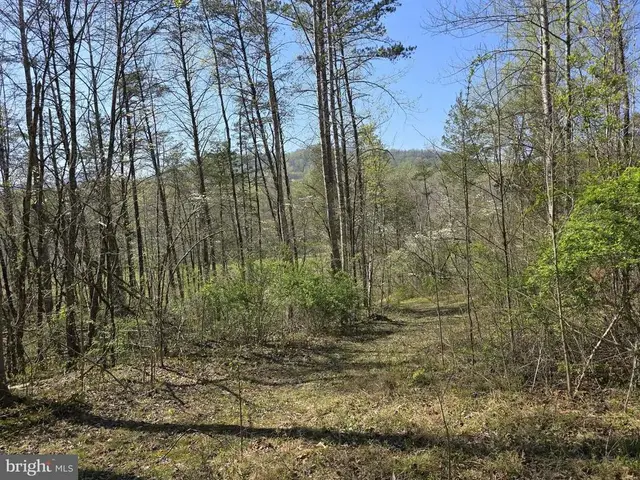 Lot 1 S Ft Valley Rd, Madison