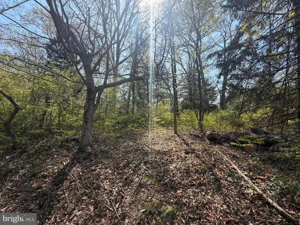 6061 Old Lawyers Hill Rd, ELKRIDGE