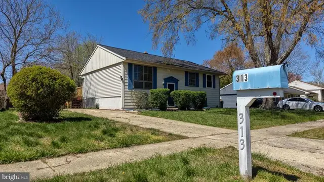 313 Gunning Bedford Dr, Dover