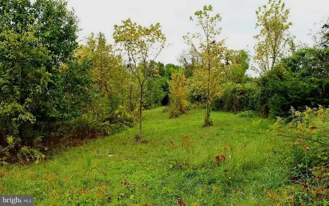Cedar Ln, Bowling Green