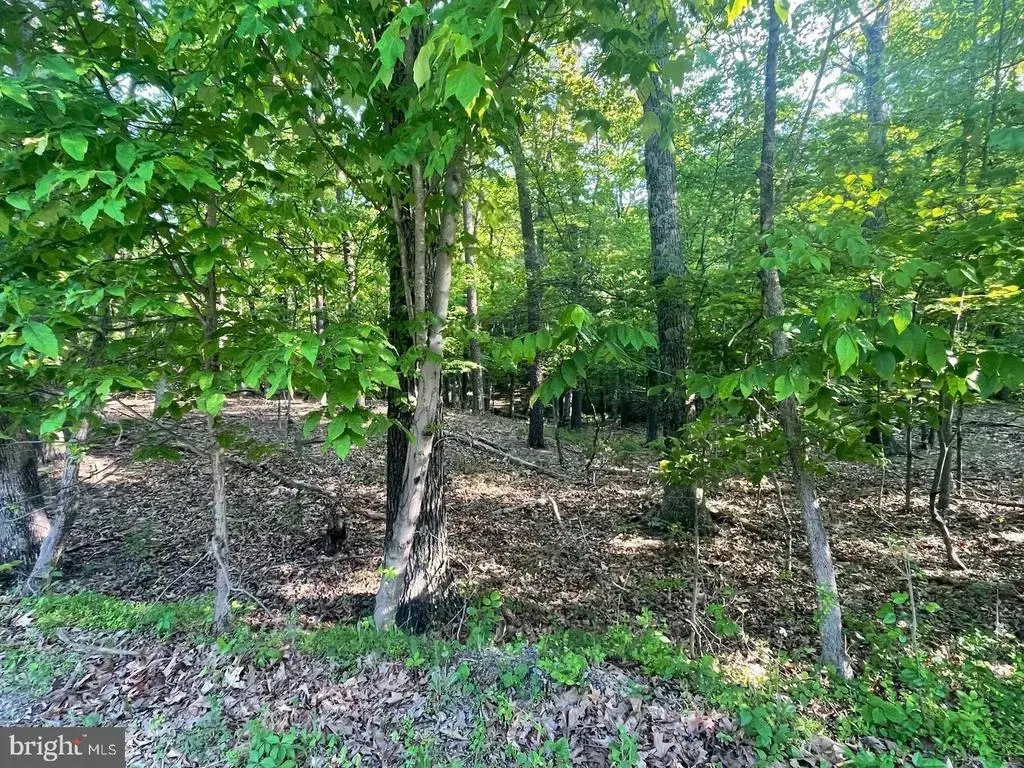 73 Colonial Dr, BERKELEY SPRINGS