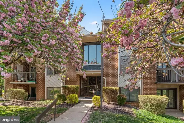 6 Mullingar Ct #202, Lutherville Timonium