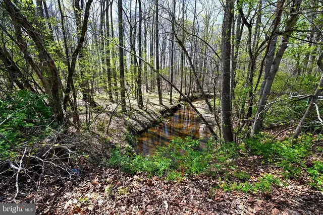 Patuxent River Rd, Davidsonville