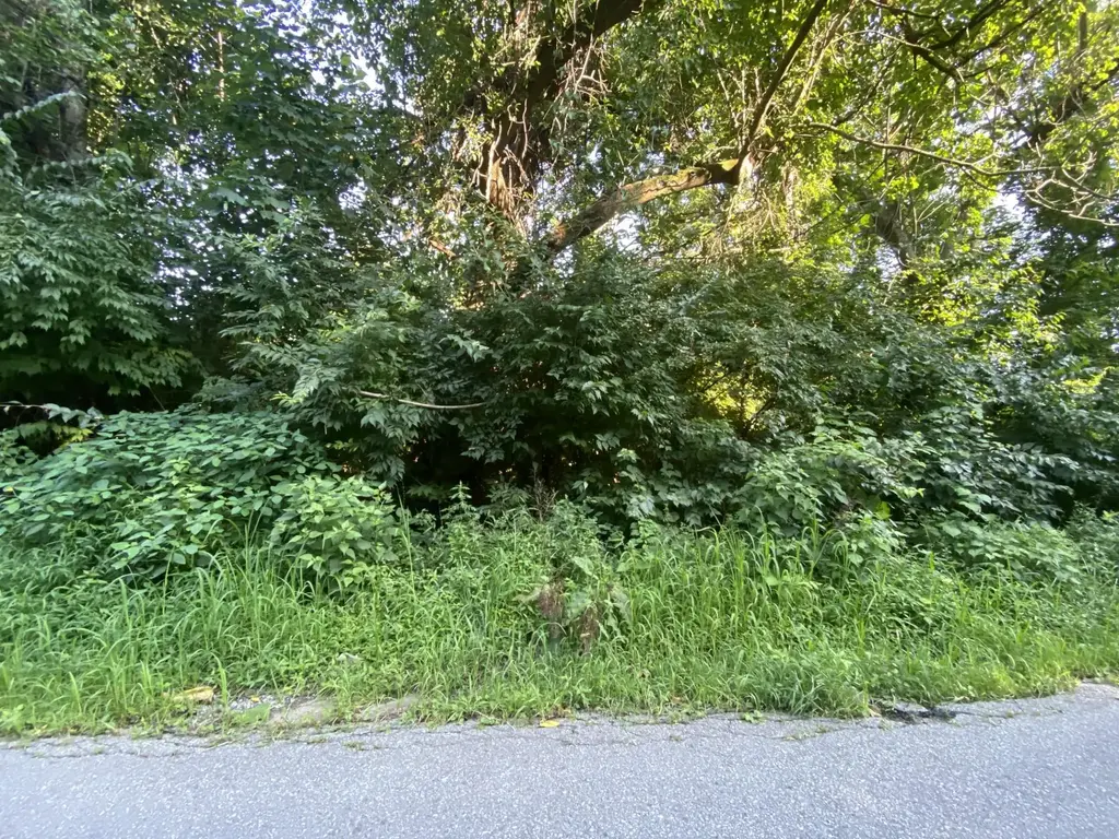347 Mount Pleasant St, COATESVILLE