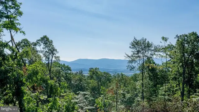 531 Forest Drive Ext, Luray