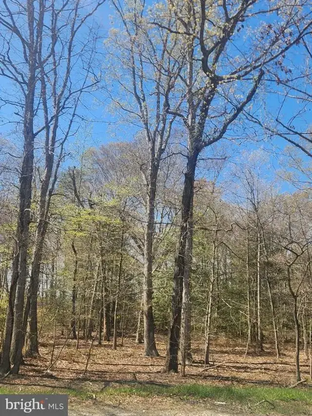 Tower Rd, Brandywine