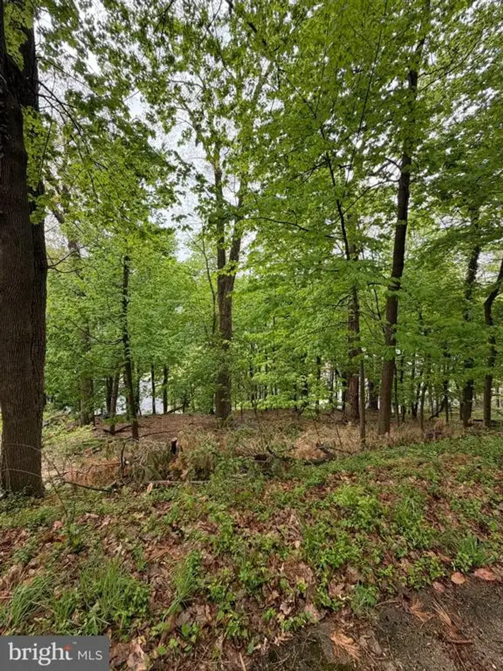1707 Mineral Spring Rd, READING