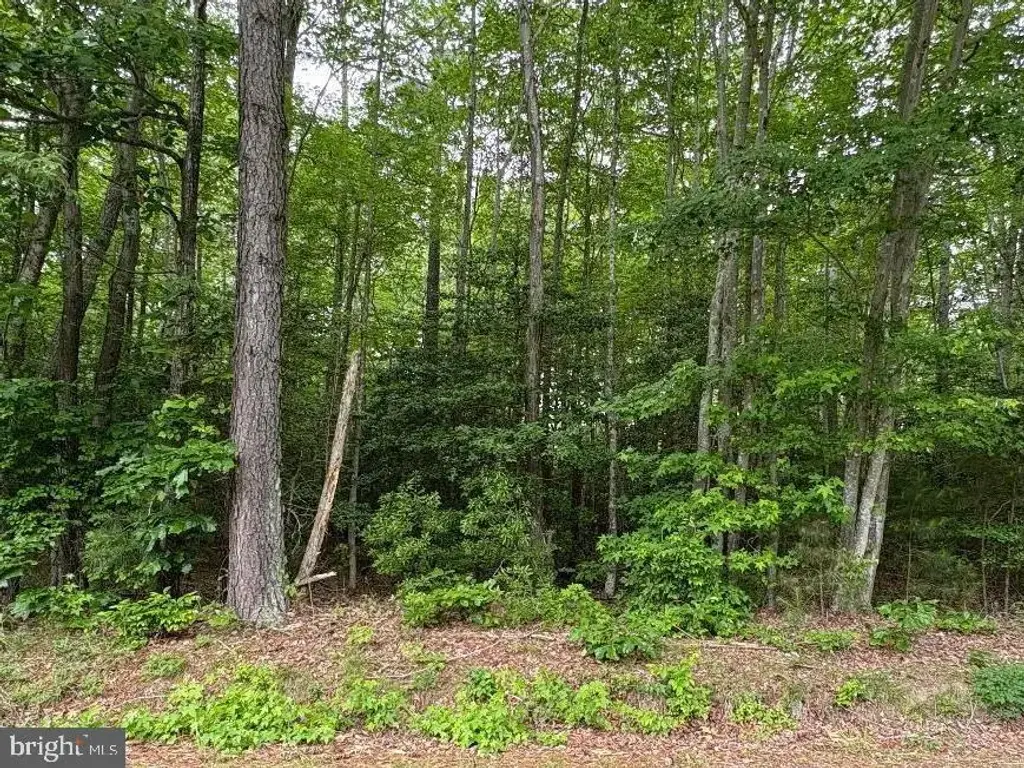 0 Bogey Neck Rd, HEATHSVILLE