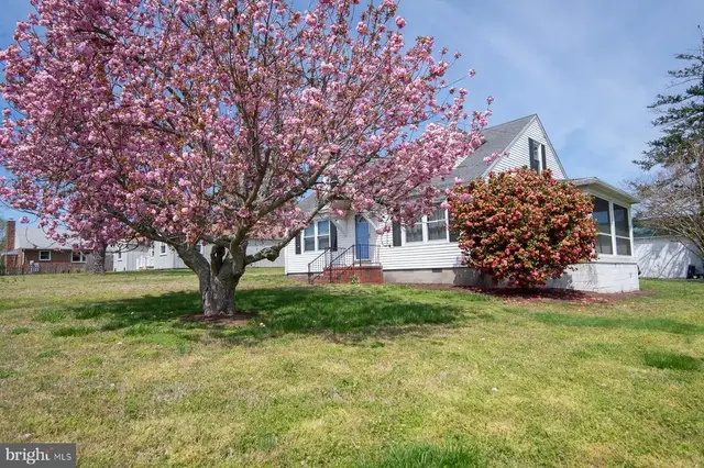 209 Buena Vista Ave, Cambridge