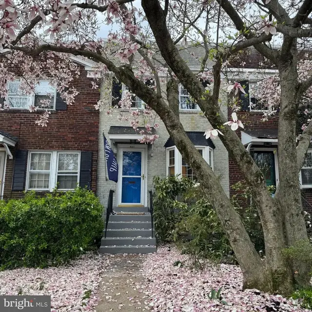 437 E Nelson Ave, Alexandria