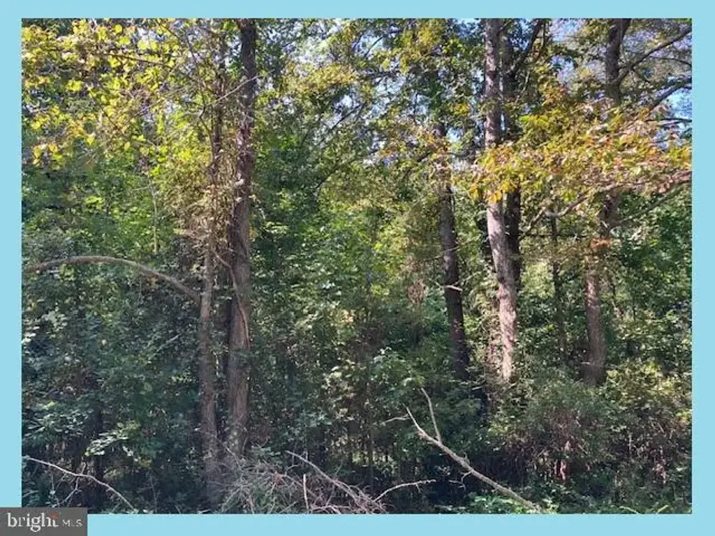 Woodbush Dr, BUSHWOOD