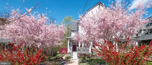 17 W Phil Ellena St, Philadelphia