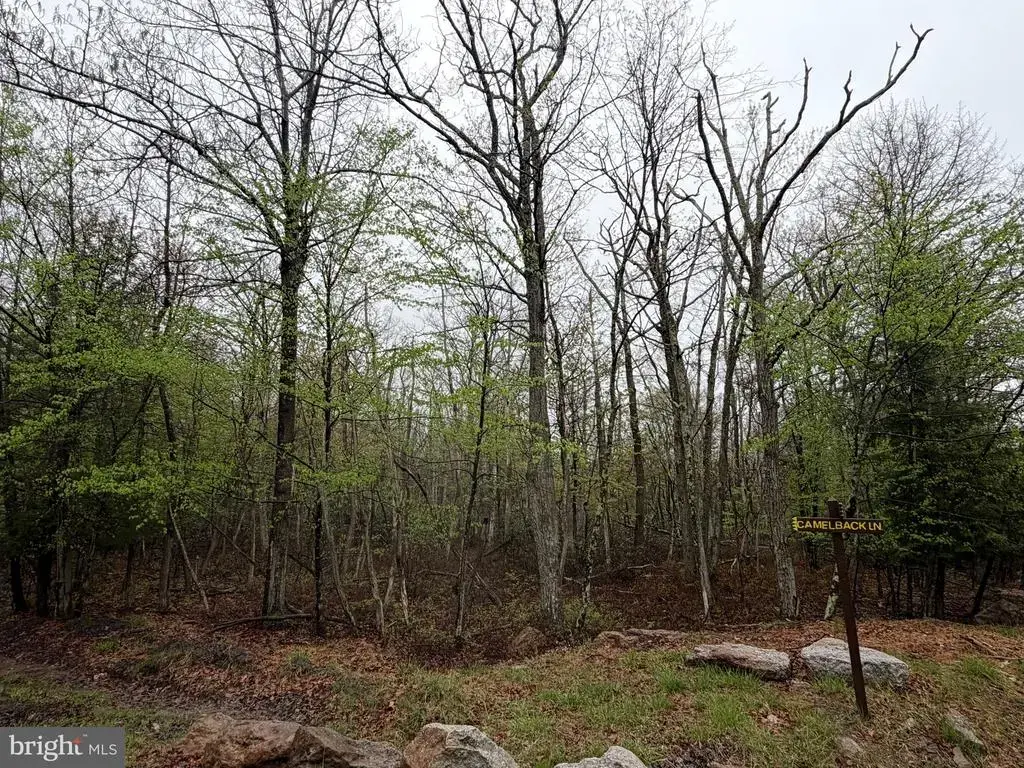 571 Haystack Drive, ZION GROVE