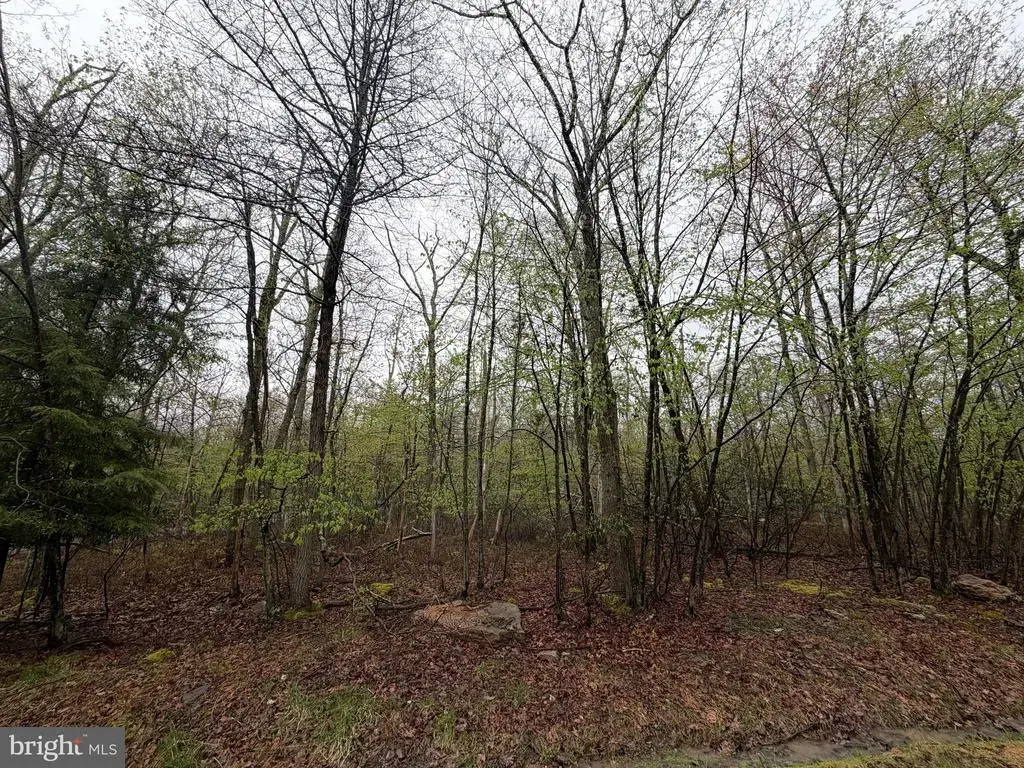 570 Haystack Drive, ZION GROVE
