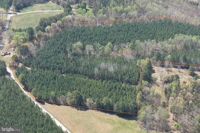 Dabney House Rd. - (tract: Pittsylvania Compton-1), Java