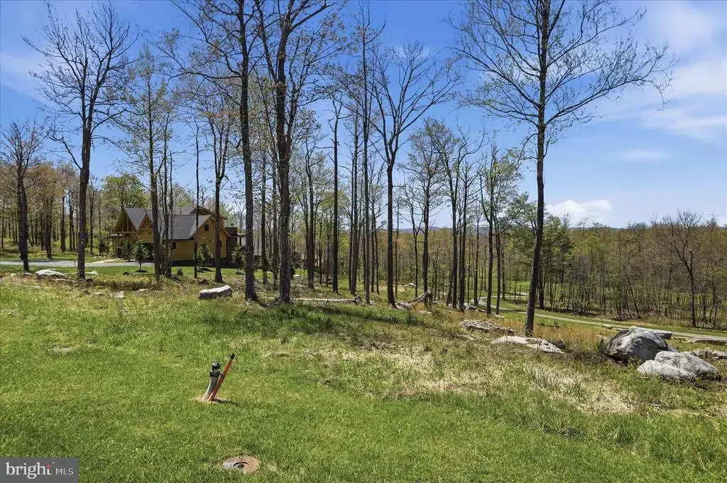 Lot 42 Biltmore Ridge Trl, MC HENRY