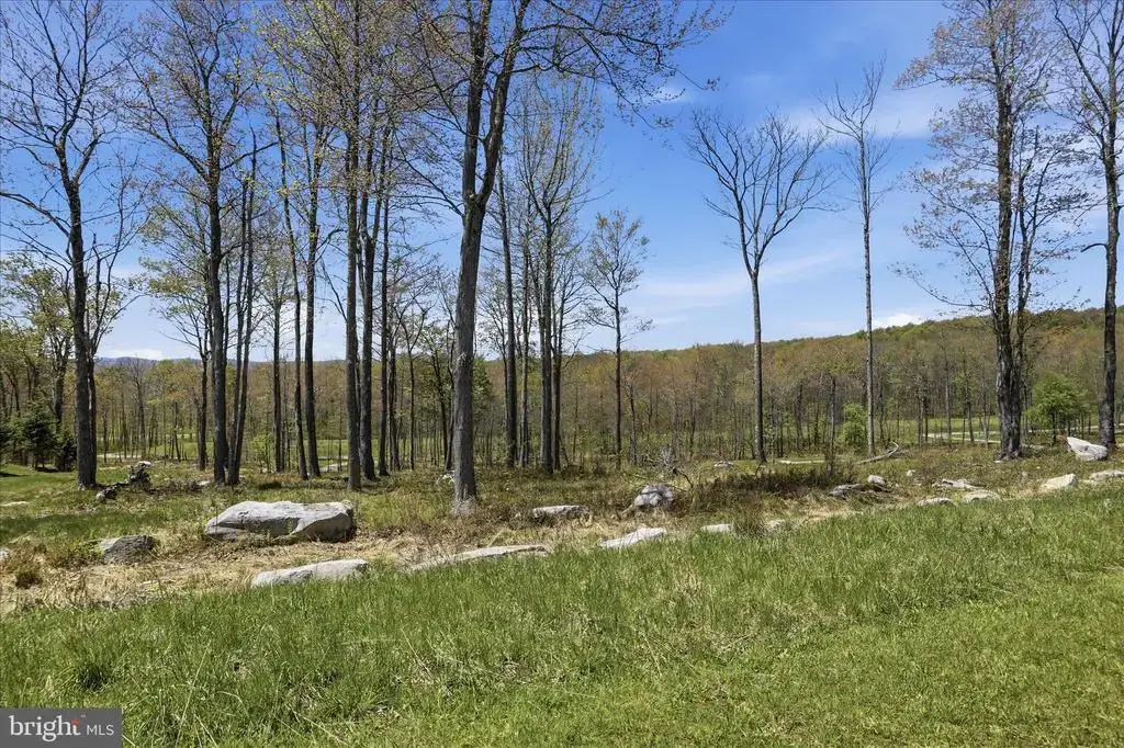 Lot 43 Biltmore Ridge Trl, MC HENRY