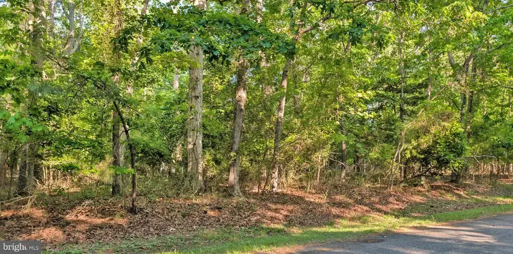 Lot 2466 Bounty Ct, GREENBACKVILLE