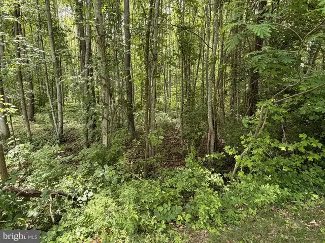 -lot 14 Overton Dr, Bumpass