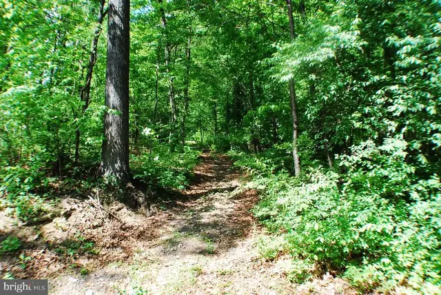 Lot 153 Babbs Mountain Rd, Winchester