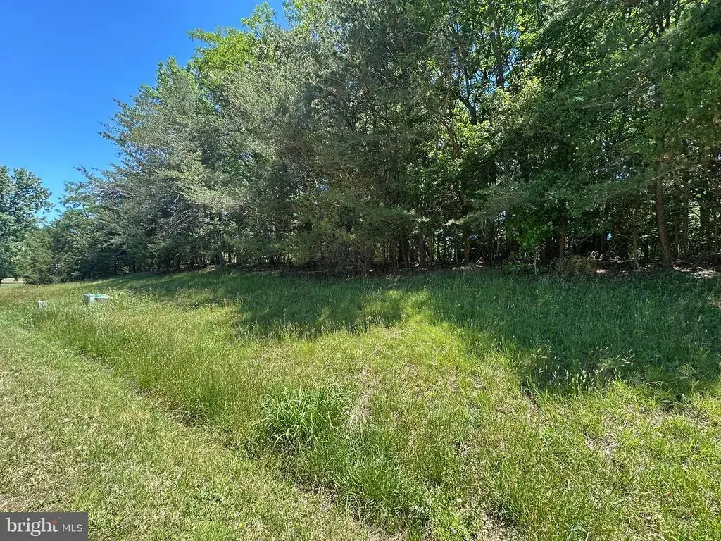 Lot 7 Lake, LEXINGTON PARK