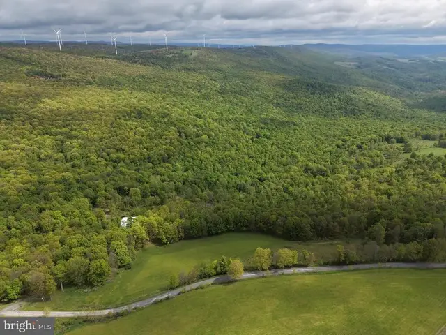Tract 5: 105.26+/- Acres Grandview Dr, Hyndman