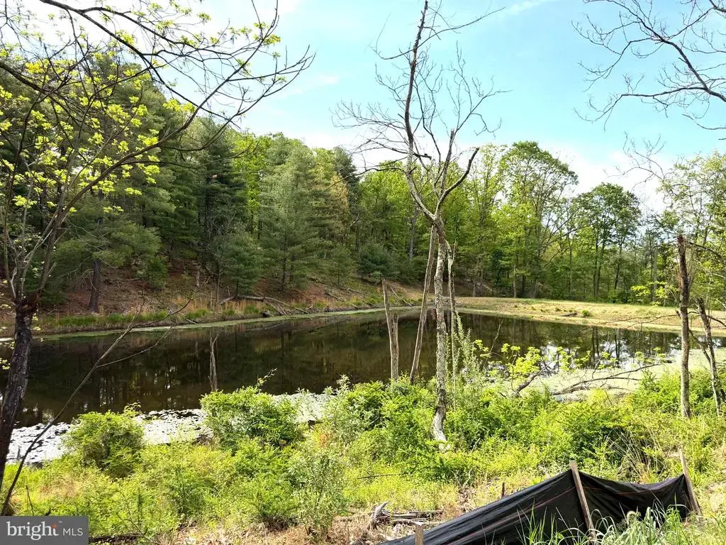 Lot 1 Crested Mountain Ln, CROSS JUNCTION