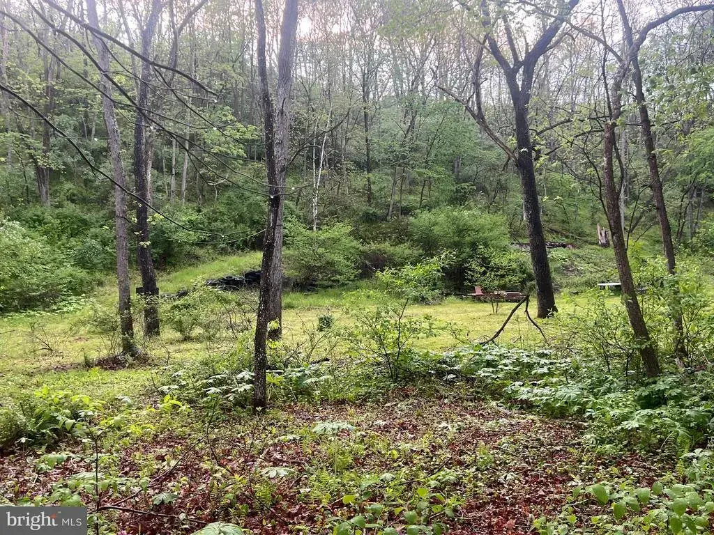0 Sidling Hill Creek Rd, LITTLE ORLEANS
