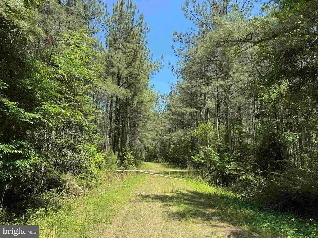 Brantley Moore Turnpike (tract Azalea Comp 17), EMPORIA