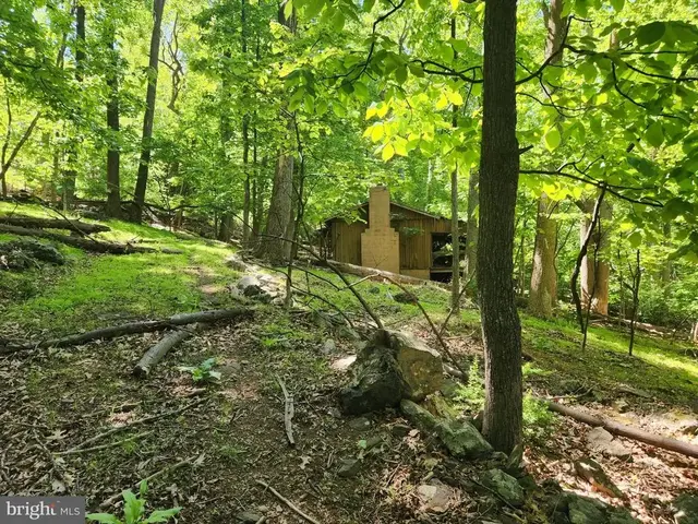 Cashmere Ct, Linden