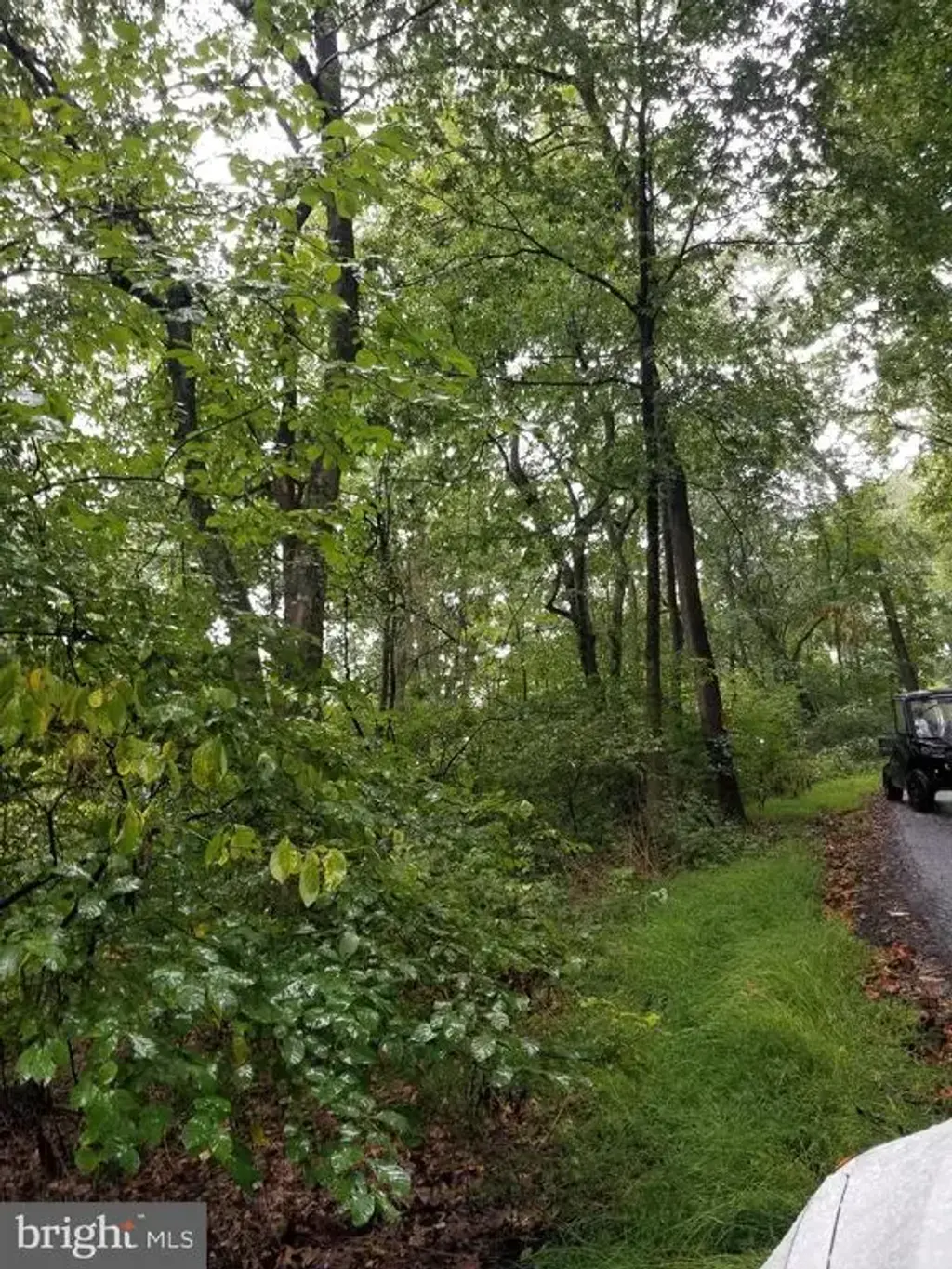 Lot 094 Fireline Rd, KINTNERSVILLE
