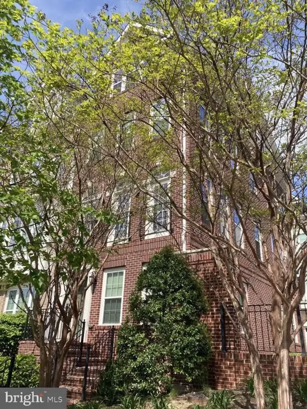 805 N Woodrow St, ARLINGTON